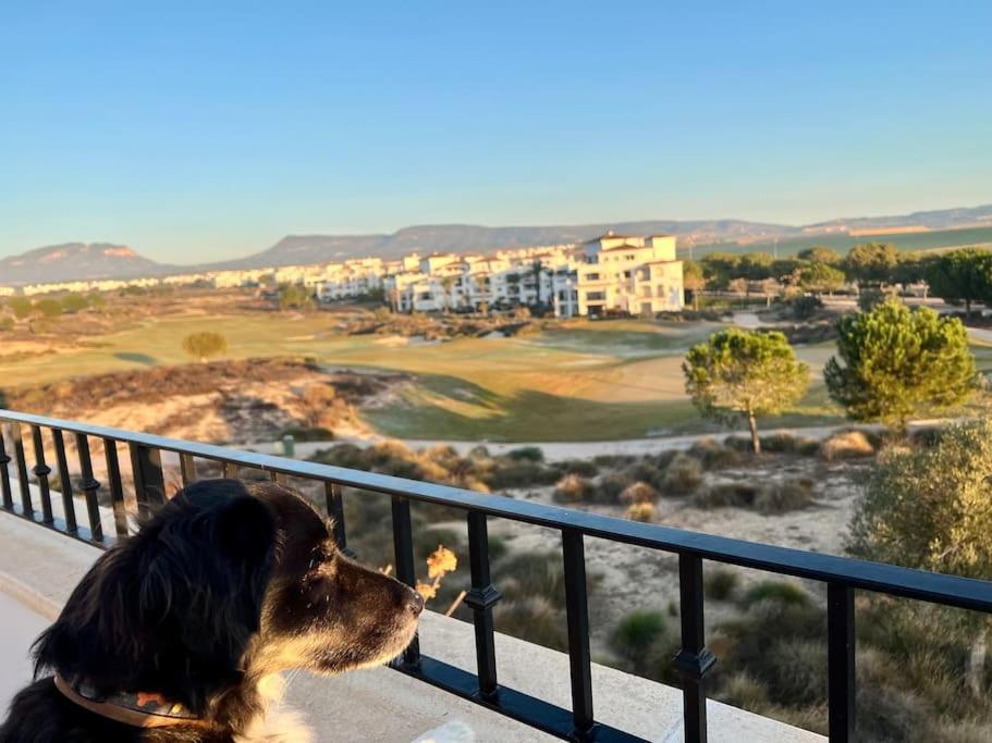 Myrtus Golf Apartment Мурсия Екстериор снимка